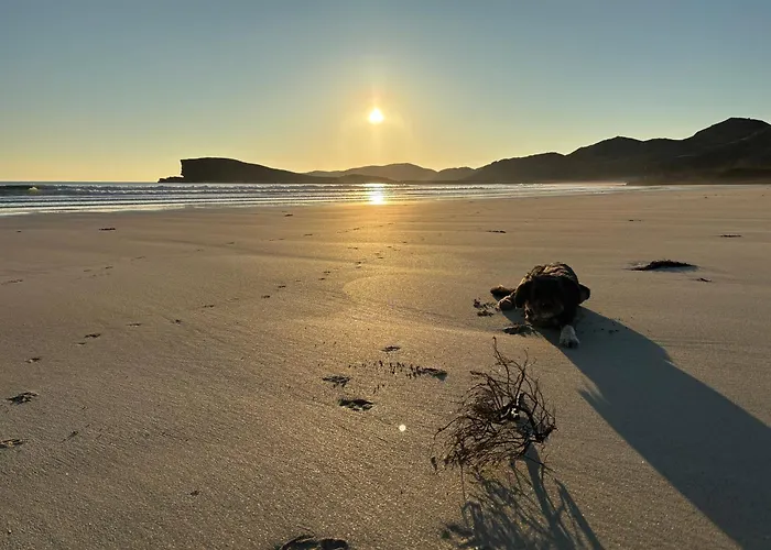 Eco Crofter\'S Wagon By The Sea - Off Grid Experience - No Electricity - As Seen Soon On Netflix