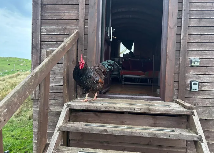 Eco Crofter\'S Wagon By The Sea - Off Grid Experience - No Electricity - As Seen Soon On Netflix