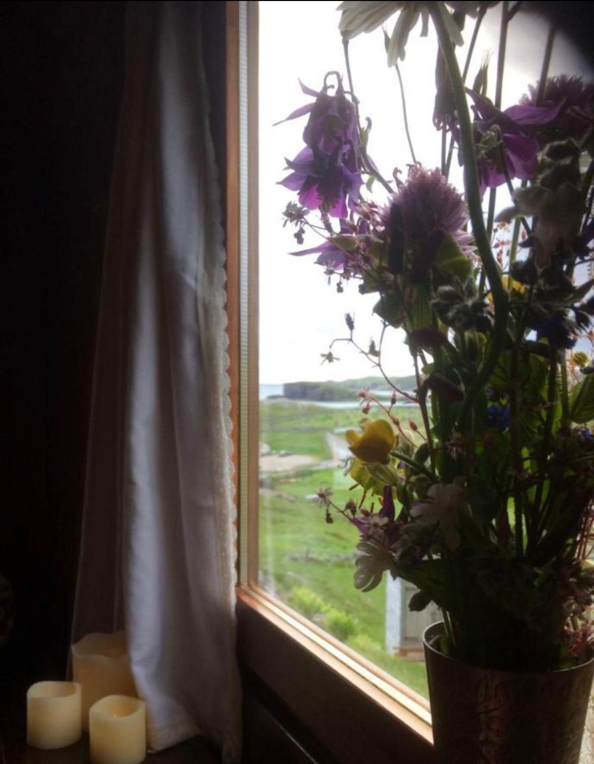 Eco Crofter's Wagon By The Sea - Off Grid Experience - No Electricity - As Seen Soon On Netflix