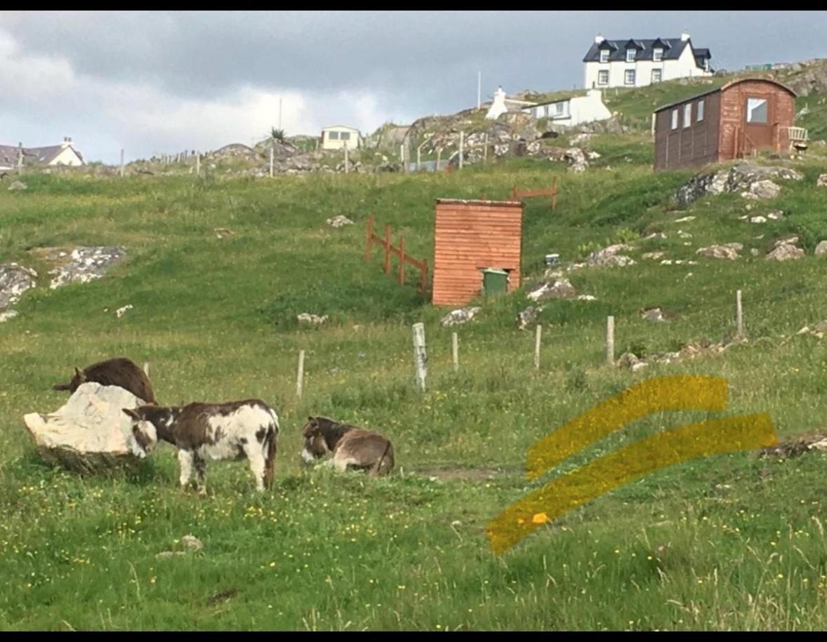 Campsite Eco Crofter's Wagon By The Sea - Off Grid Experience - No Electricity - As Seen Soon On Netflix