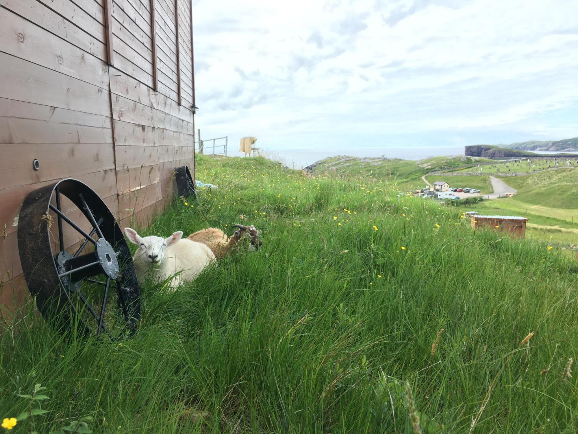 Campsite Eco Crofter's Wagon By The Sea - Off Grid Experience - No Electricity - As Seen Soon On Netflix *