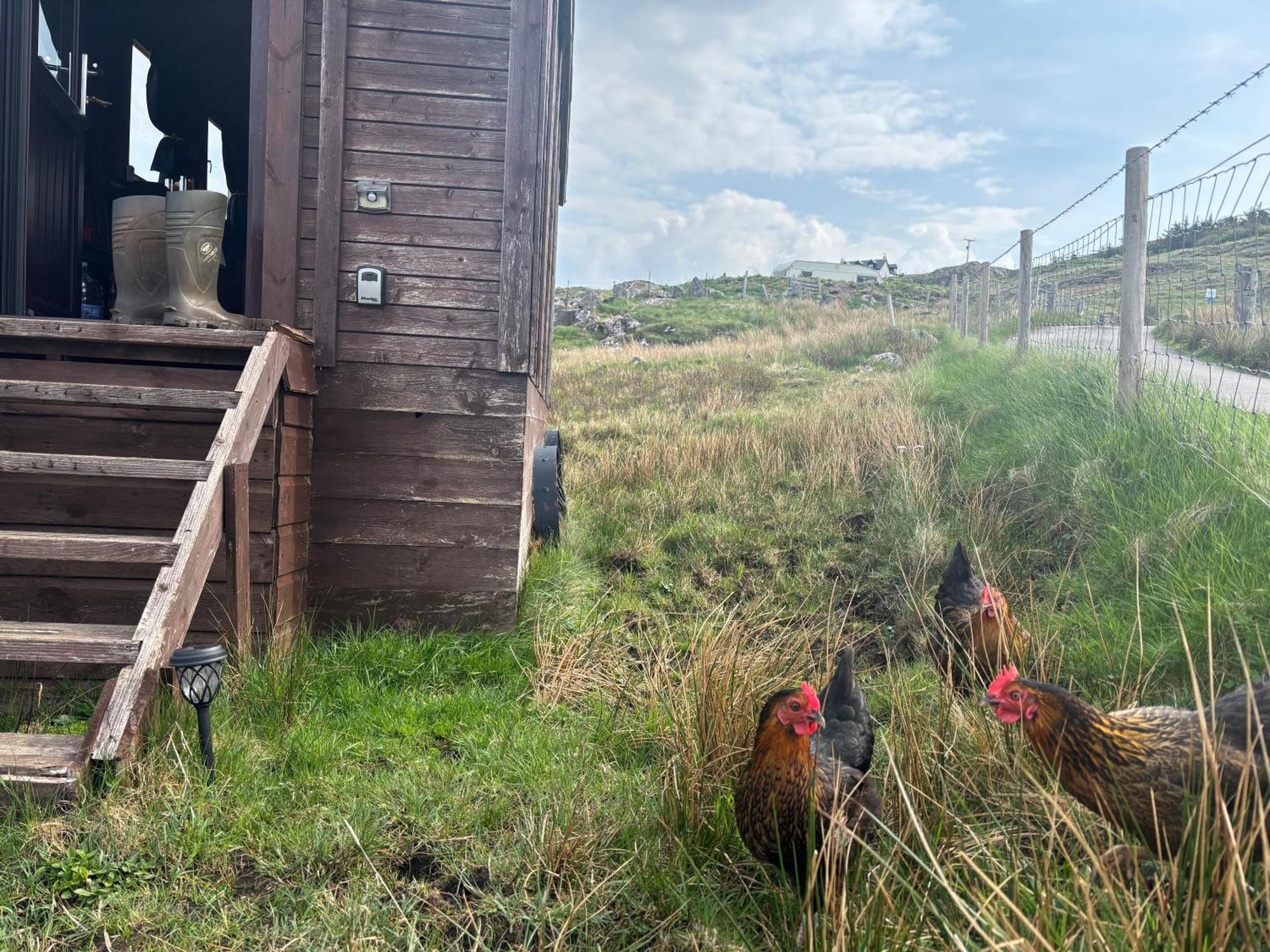 Campsite Eco Crofter's Wagon By The Sea - Off Grid Experience - No Electricity - As Seen Soon On Netflix